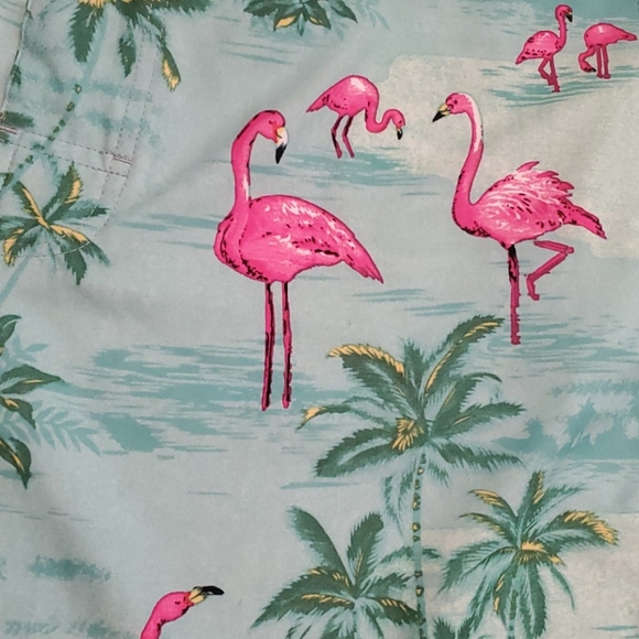 Red Camel Men's swim trunks size 36 Flamingos - Picture 2 of 4